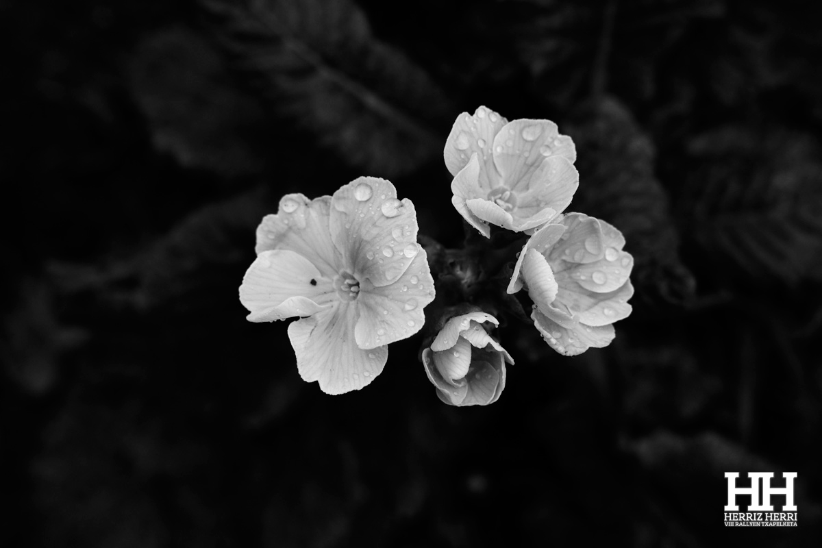Fotografía tema B del primer clasificado, Javier López Fabián.