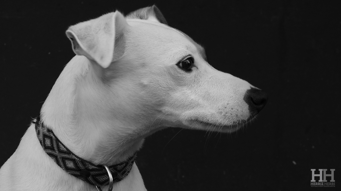 Fotografía del tema D de la colección ganadora del rally fotográfico de Donosti 2025