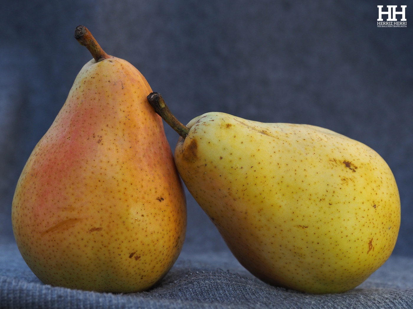 Fotografía del tema E de la tercera colección clasificada del rally fotográfico de Donosti 2025