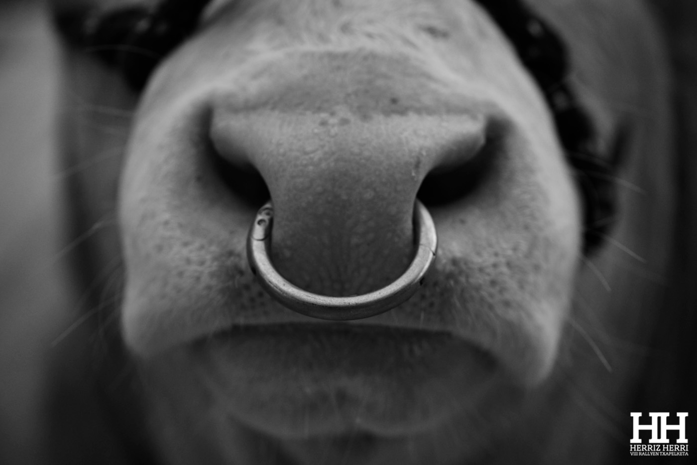 Fotografía del tema B de la segunda colección clasificada del rally fotográfico de Altsasu 2025