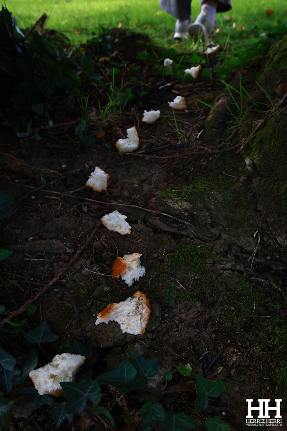 Fotografía del tema D de la colección ganadora del rally fotográfico de Tolosa 2025