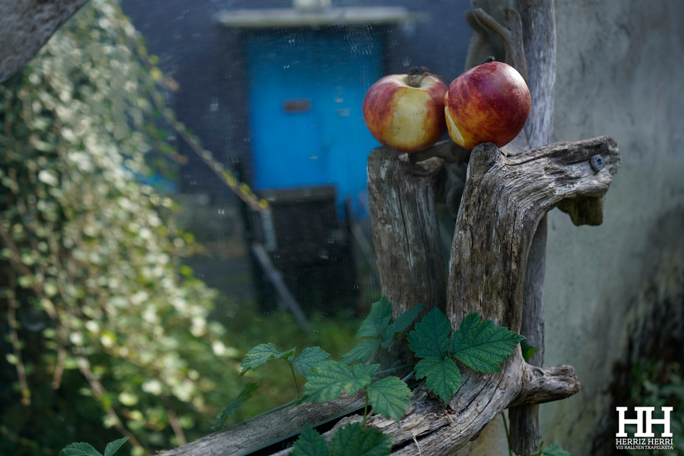 Fotografía del tema C de la tercera colección clasificada del rally fotográfico de Tolosa 2025
