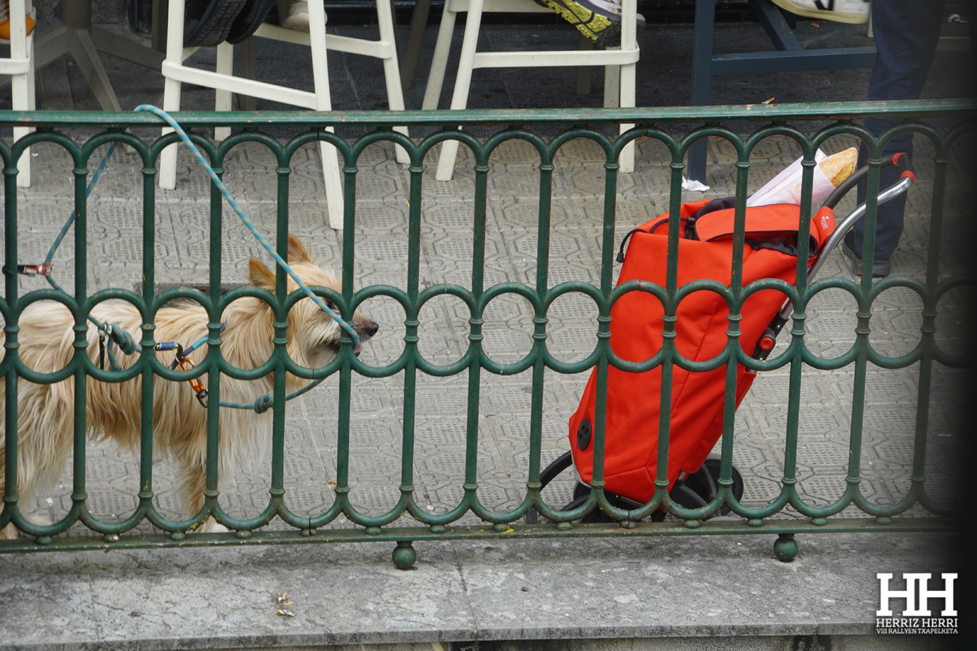 Fotografía del tema B de la colección ganadora del rally fotográfico de Tolosa 2025