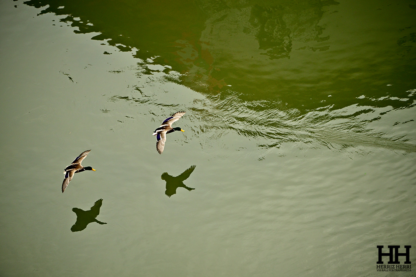 Fotografía del tema B de la colección ganadora del rally fotográfico de  Soraluze 2025