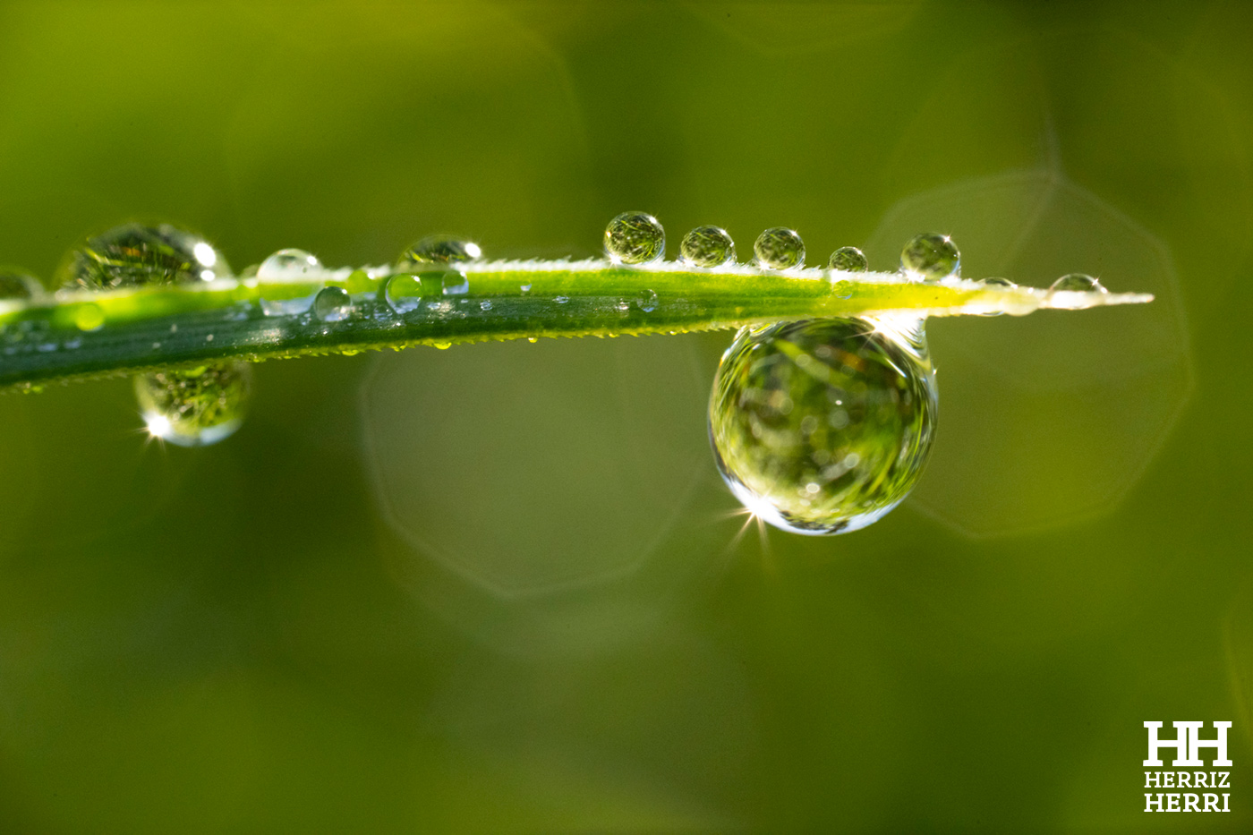 Fotografía del tema C de la colección ganadora del rally fotográfico de  Amorebieta 2026