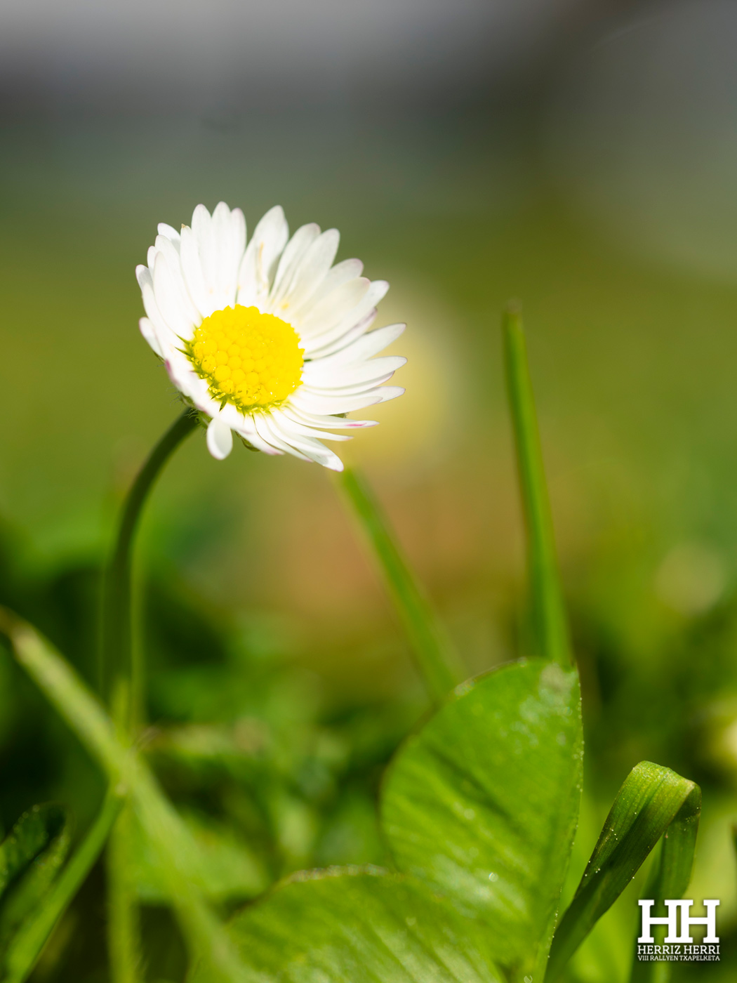 Fotografía del tema A de la tercera colección clasificada del rally fotográfico de  Amorebieta 2026