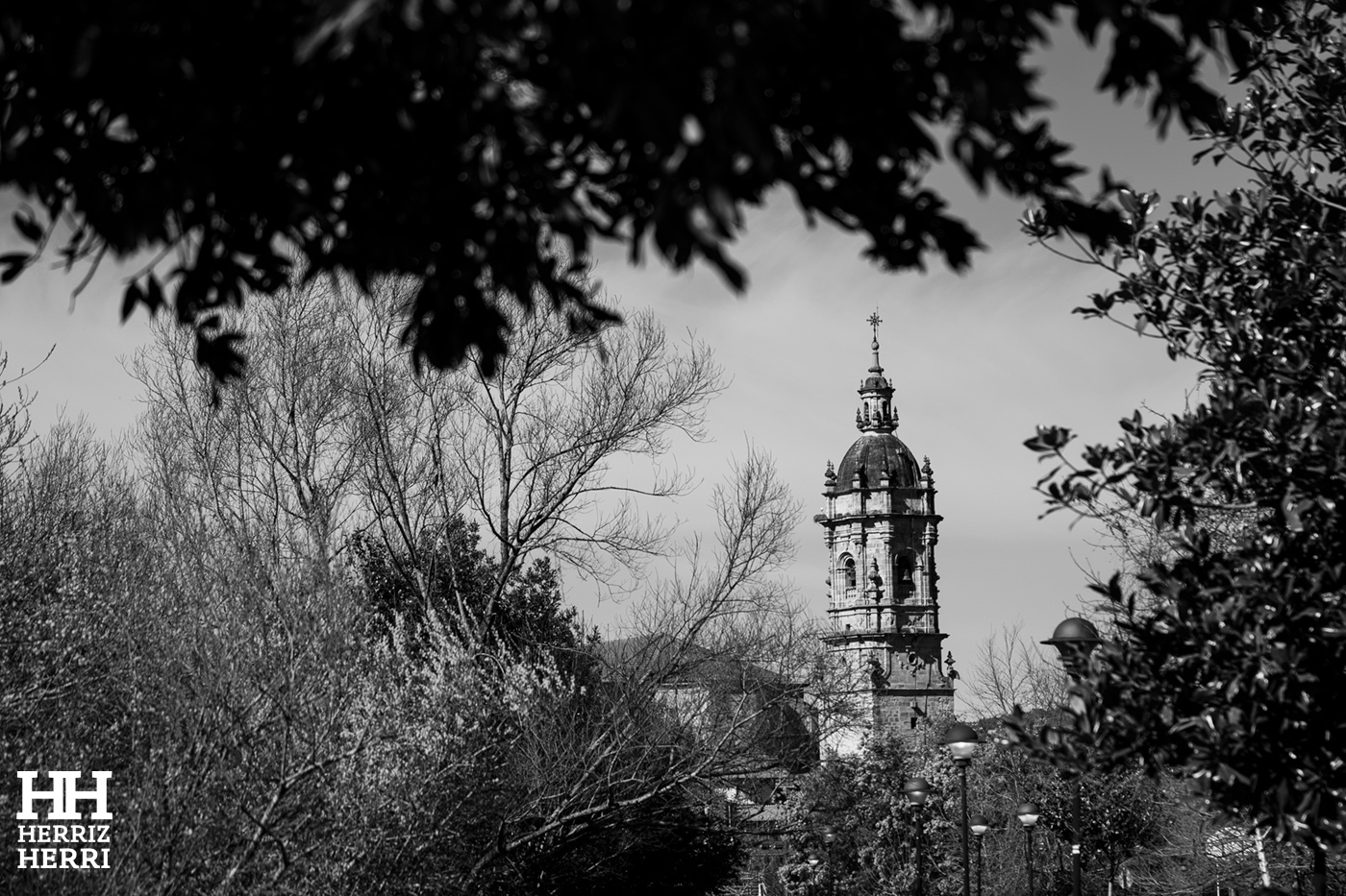 Fotografía del tema A de la mejor colección de local no premiado de  Amorebieta 2026