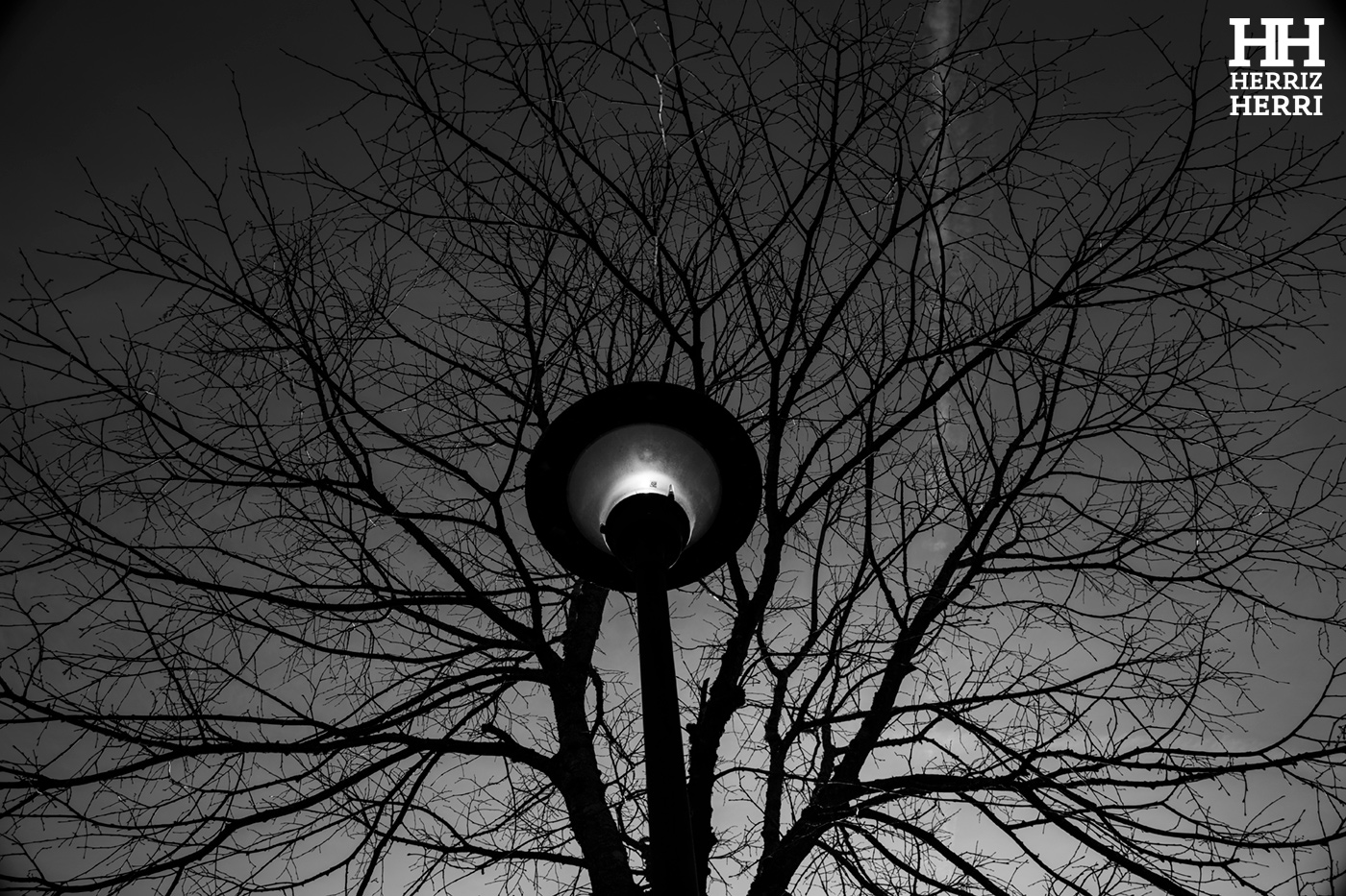 Fotografía del tema D de la mejor colección de local no premiado de  Amorebieta 2026